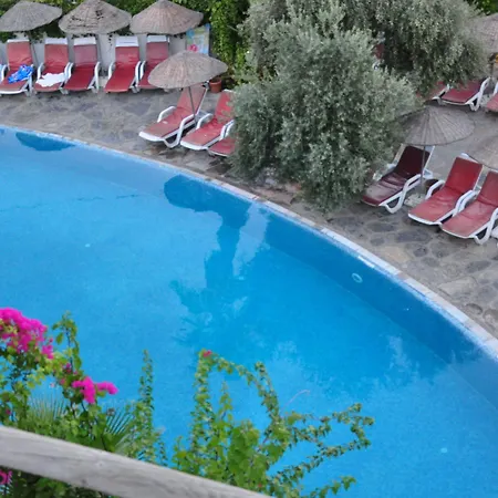 Ayaz Aqua 3*